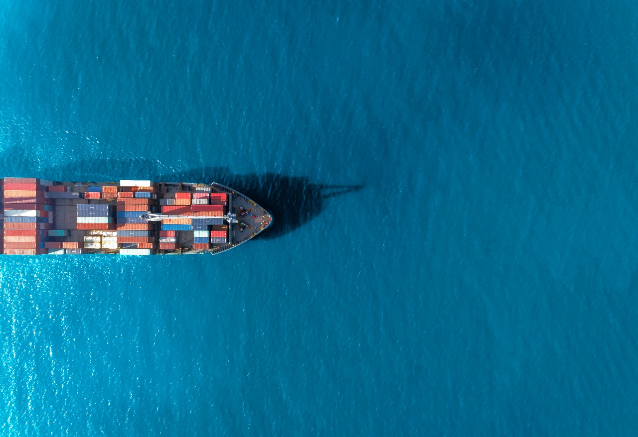 Foreign direct investments and trade