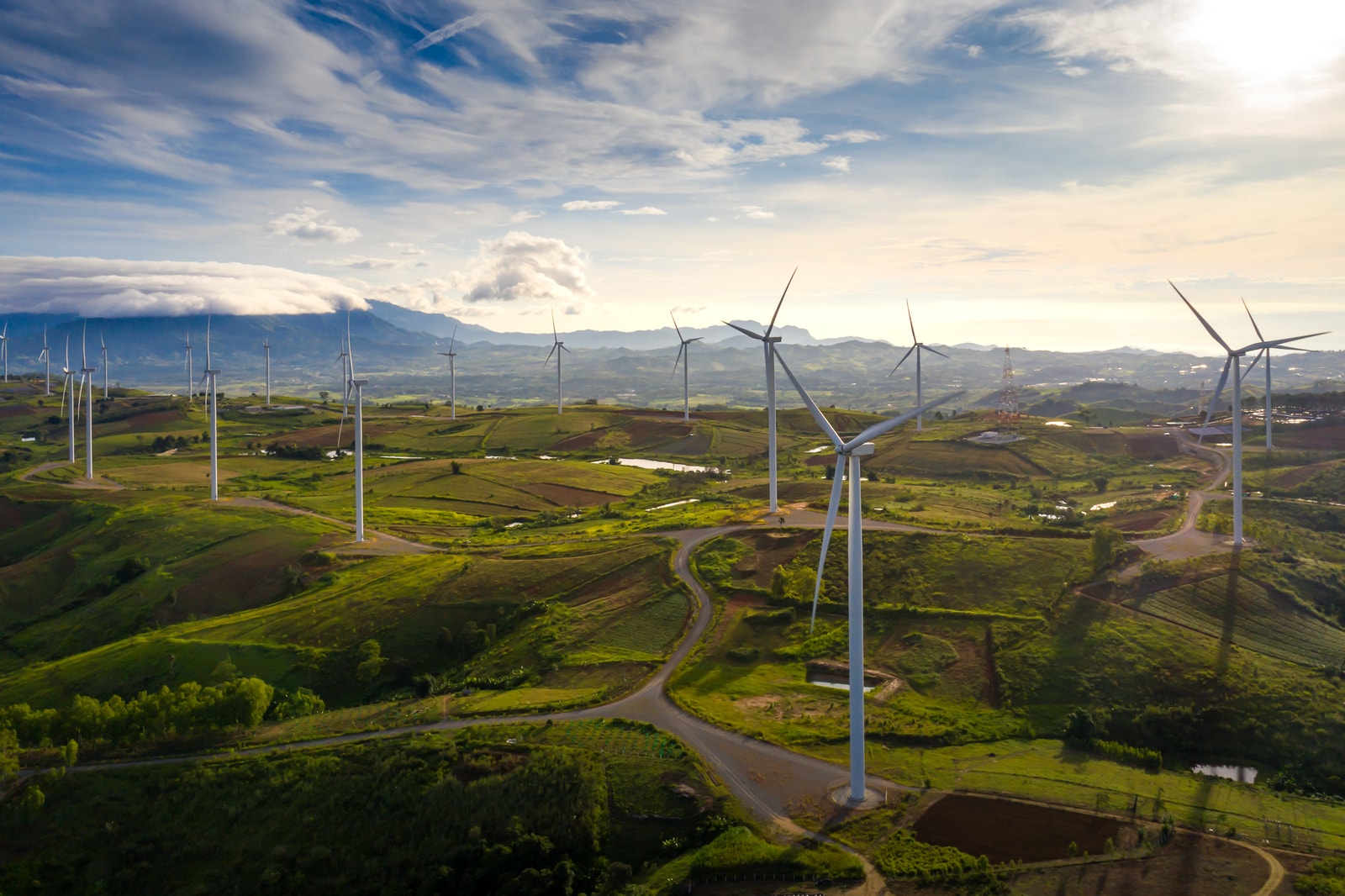 Sustainability in CEE